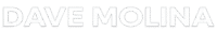 Dave Molina SEO logo